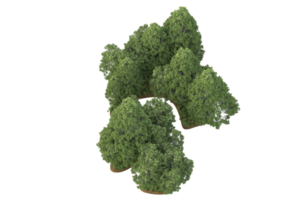 Realistic forest isolated on transparent background. 3d rendering - illustration png