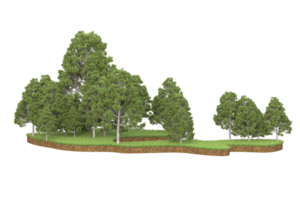 Realistic forest isolated on transparent background. 3d rendering - illustration png