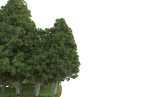 Realistic forest isolated on transparent background. 3d rendering - illustration png