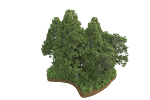 Realistic forest isolated on transparent background. 3d rendering - illustration png