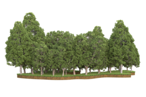 Realistic forest isolated on transparent background. 3d rendering - illustration png