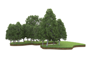 Realistic forest isolated on transparent background. 3d rendering - illustration png