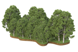 forêt réaliste isolée sur fond transparent. rendu 3d - illustration png