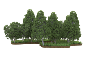 Realistic forest isolated on transparent background. 3d rendering - illustration png