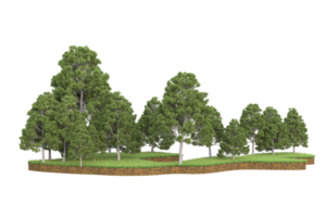 Realistic forest isolated on transparent background. 3d rendering - illustration png