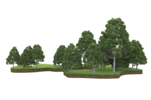 Realistic forest isolated on transparent background. 3d rendering - illustration png