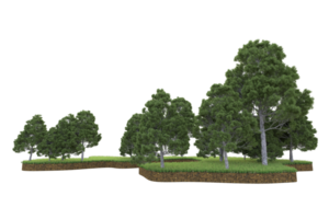 Realistic forest isolated on transparent background. 3d rendering - illustration png