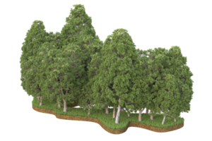 Realistic forest isolated on transparent background. 3d rendering - illustration png