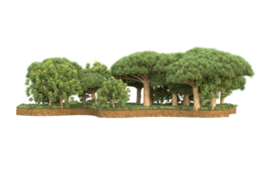 forêt réaliste isolée sur fond transparent. rendu 3d - illustration png