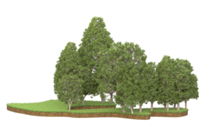 Realistic forest isolated on transparent background. 3d rendering - illustration png