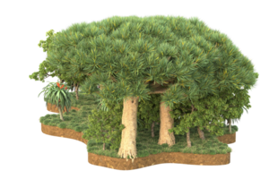 forêt réaliste isolée sur fond transparent. rendu 3d - illustration png