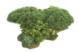 Realistic forest isolated on transparent background. 3d rendering - illustration png