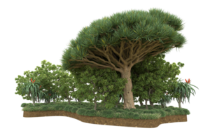 Realistic forest isolated on transparent background. 3d rendering - illustration png