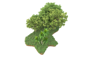 Realistic forest isolated on transparent background. 3d rendering - illustration png