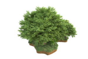Realistic forest isolated on transparent background. 3d rendering - illustration png