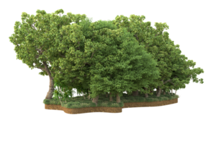 Realistic forest isolated on transparent background. 3d rendering - illustration png