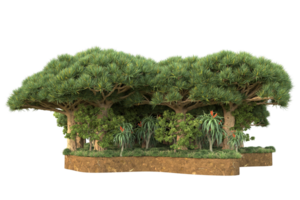 forêt réaliste isolée sur fond transparent. rendu 3d - illustration png