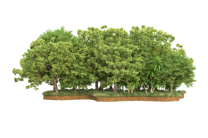 Realistic forest isolated on transparent background. 3d rendering - illustration png