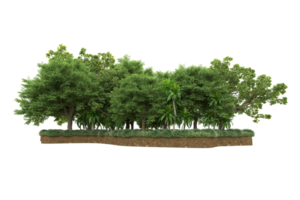 Realistic forest isolated on transparent background. 3d rendering - illustration png