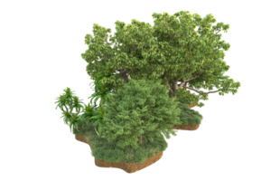 Realistic forest isolated on transparent background. 3d rendering - illustration png