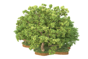 forêt réaliste isolée sur fond transparent. rendu 3d - illustration png