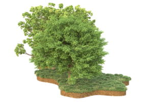 Realistic forest isolated on transparent background. 3d rendering - illustration png