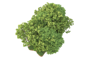 Realistic forest isolated on transparent background. 3d rendering - illustration png