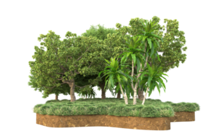 Realistic forest isolated on transparent background. 3d rendering - illustration png