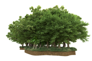 forêt réaliste isolée sur fond transparent. rendu 3d - illustration png