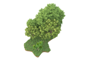 Realistic forest isolated on transparent background. 3d rendering - illustration png