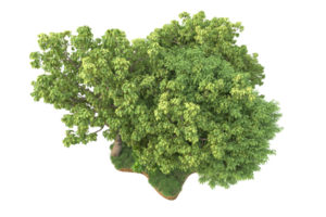 forêt réaliste isolée sur fond transparent. rendu 3d - illustration png