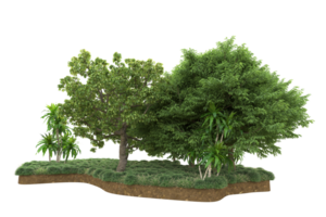 Realistic forest isolated on transparent background. 3d rendering - illustration png