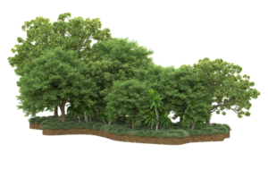 Realistic forest isolated on transparent background. 3d rendering - illustration png