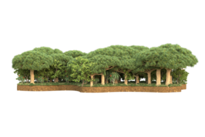 Realistic forest isolated on transparent background. 3d rendering - illustration png