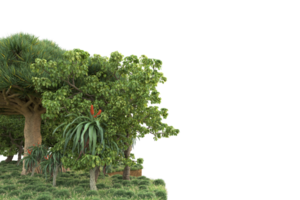 forêt réaliste isolée sur fond transparent. rendu 3d - illustration png