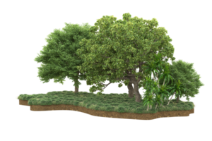 Realistic forest isolated on transparent background. 3d rendering - illustration png