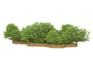 Realistic forest isolated on transparent background. 3d rendering - illustration png