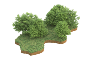 Realistic forest isolated on transparent background. 3d rendering - illustration png