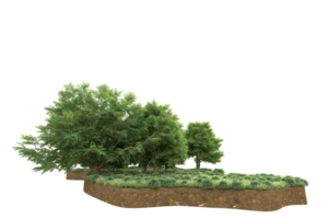 Realistic forest isolated on transparent background. 3d rendering - illustration png