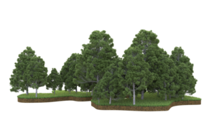 Realistic forest isolated on transparent background. 3d rendering - illustration png