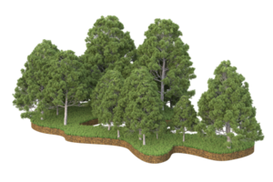 forêt réaliste isolée sur fond transparent. rendu 3d - illustration png