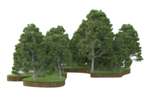 Realistic forest isolated on transparent background. 3d rendering - illustration png