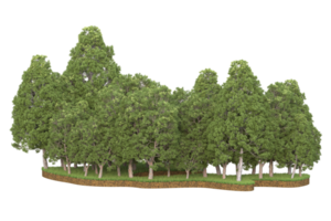 Realistic forest isolated on transparent background. 3d rendering - illustration png