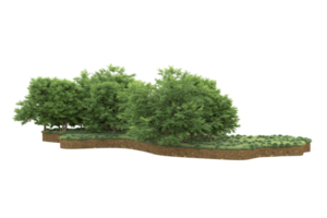 Realistic forest isolated on transparent background. 3d rendering - illustration png