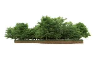 Realistic forest isolated on transparent background. 3d rendering - illustration png