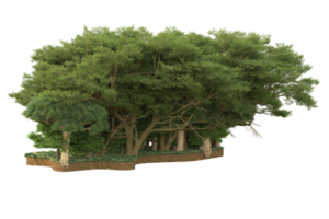 forêt réaliste isolée sur fond transparent. rendu 3d - illustration png