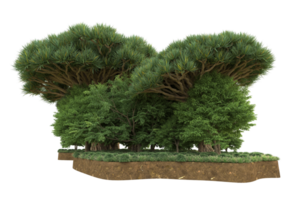 realistico foresta isolato su trasparente sfondo. 3d interpretazione - illustrazione png