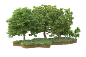 Realistic forest isolated on transparent background. 3d rendering - illustration png