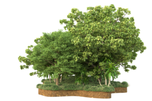 Realistic forest isolated on transparent background. 3d rendering - illustration png