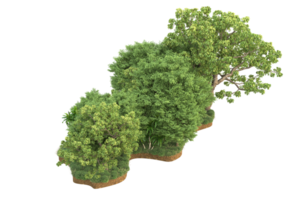 Realistic forest isolated on transparent background. 3d rendering - illustration png